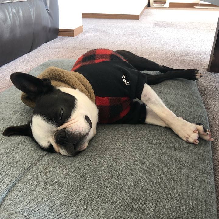 Df22c24b 0585 41d9 b124 34d5af7b8132 1582093138736