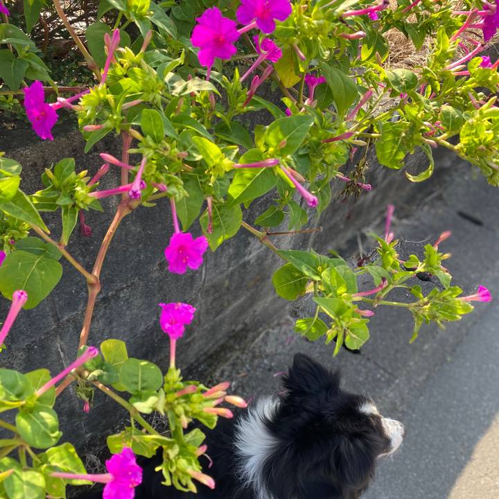 Df22e9ef a918 47c6 8520 ec9d5a9f7d66 1601598352512