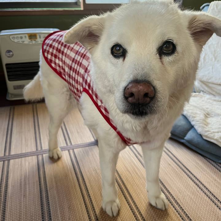 Df230c7a 69a6 4b16 b70a fa919b5b9bb2 1764375990032