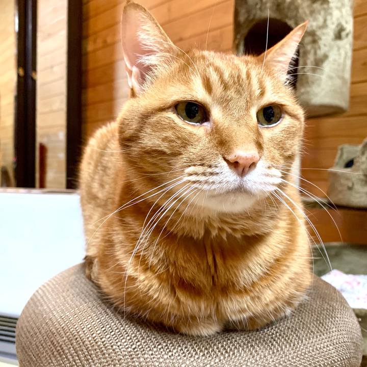 Df230e14 1b84 45d7 93ad c5abfb871e88 1582960166125