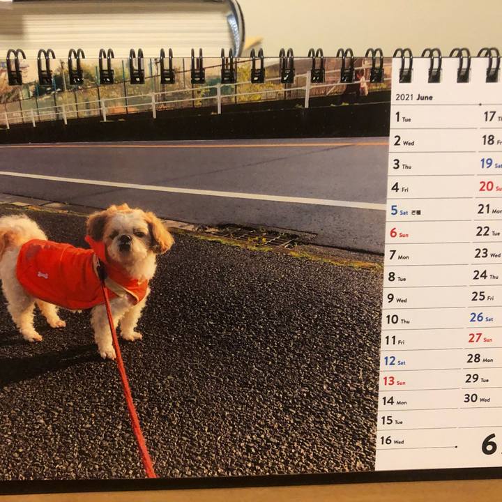 Df234407 ac5c 4ec0 b501 5741d34b44fe 1622757444199