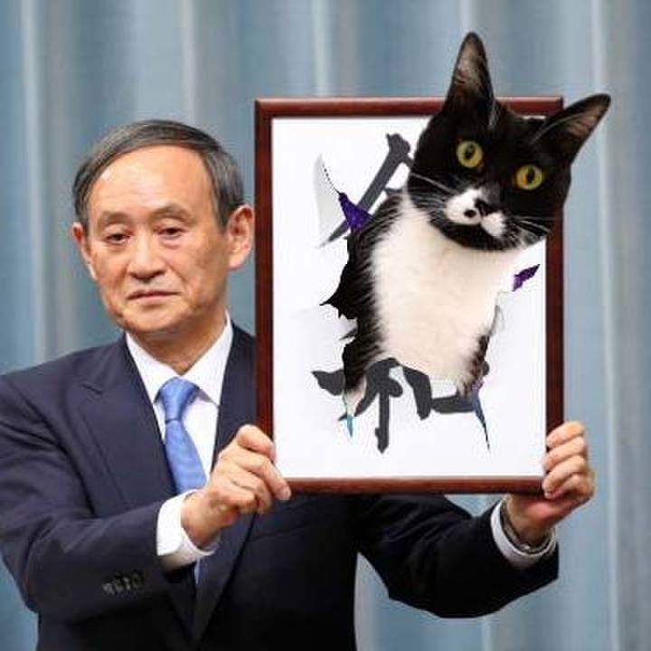 Df2364aa fa51 4351 a552 829f1f3f7ddc 1554091154927