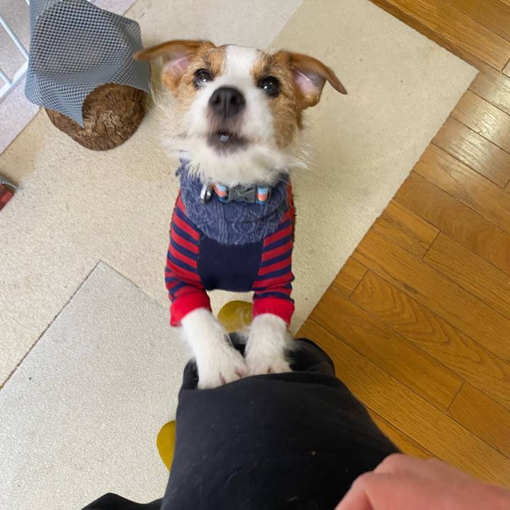 Df237196 a79a 449a b658 d8883ead1e35 1674952387498