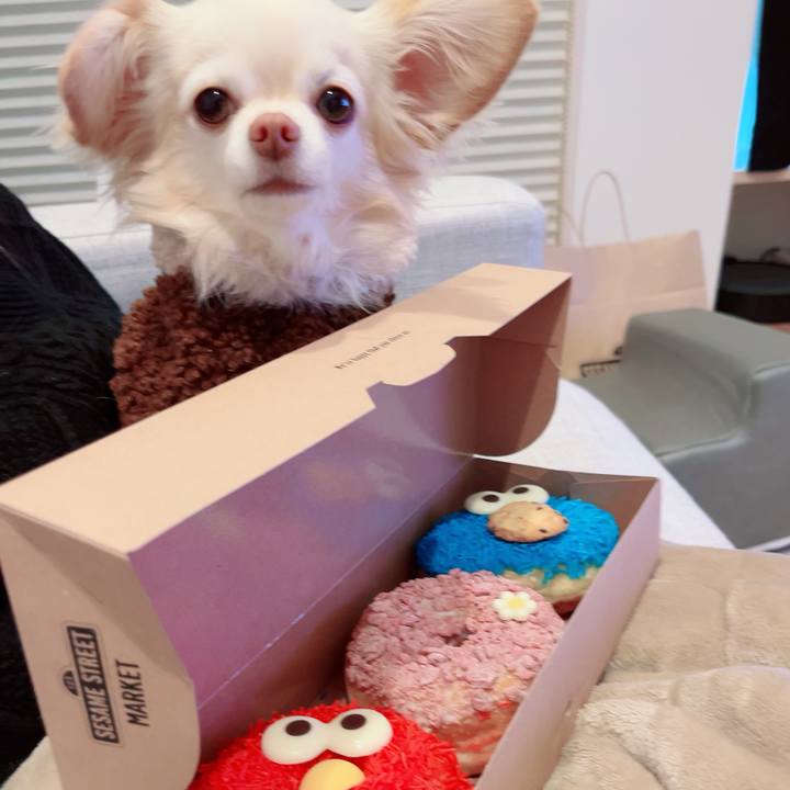 Df237f7d 843a 4aa9 a1e7 02b91f540f0d 1702636299980