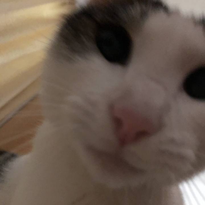 Df238ce6 db6a 4bdb 97f7 fc2af280f498 1624074307559