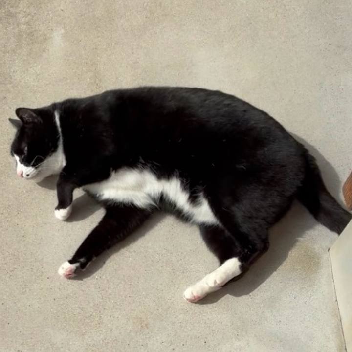 Df239165 7412 478e b3d5 0f55501594e0 1772939837670