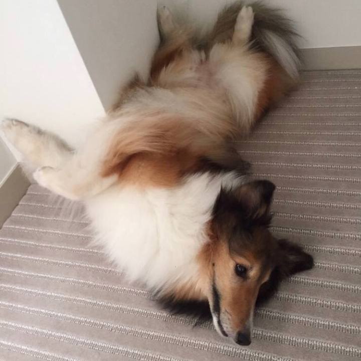 Df23c524 2860 4356 ad3f f0ebac3c644e 1559744906784