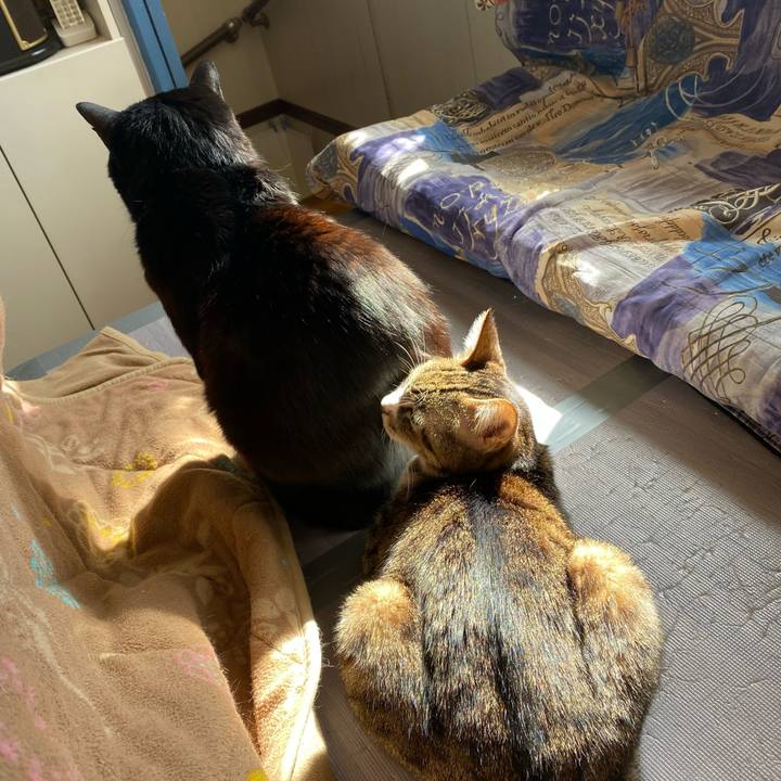 Df23e899 50ae 40a8 8084 3a3814c17227 1645407053309