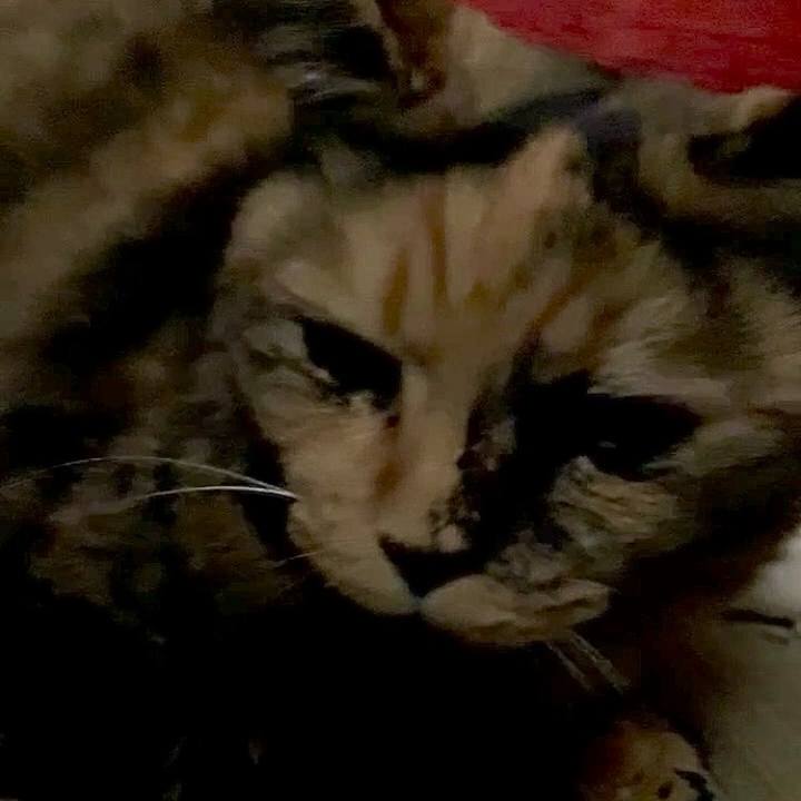 Df23f4e9 7942 4949 856d 1349769228bc 1756727965623