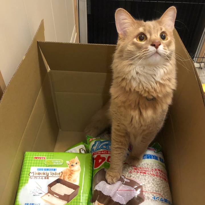 Df24007c 7307 4645 9a8d 671f1f26416c 1584083000609