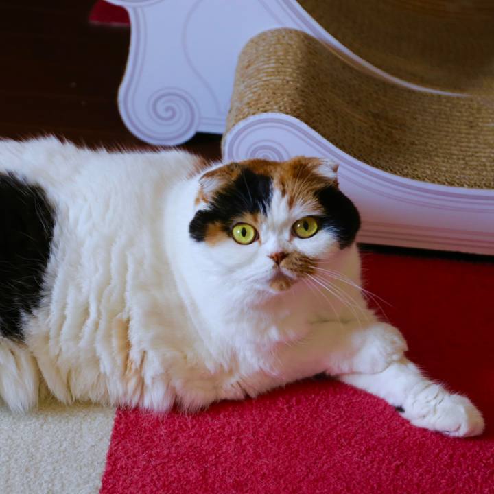 Df24441d efc2 4690 bd9f d03971a3184b 1562762803078