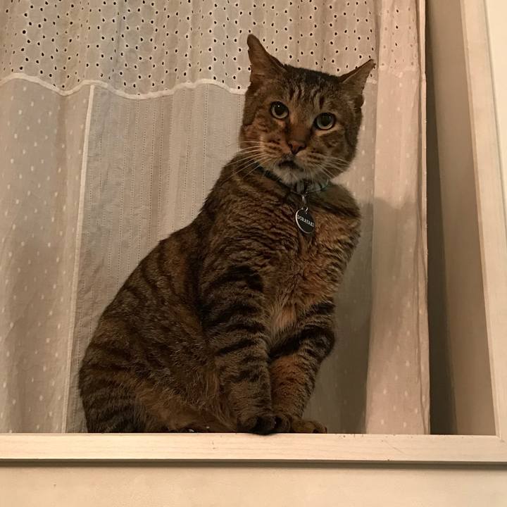 Df245a12 d639 4017 a652 125b1166ebdf 1559134452572