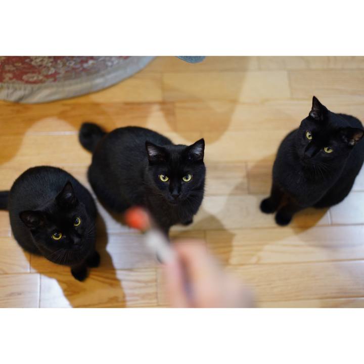 Df245a34 4e2b 4298 ba72 8262fca5baf2 1566430077714