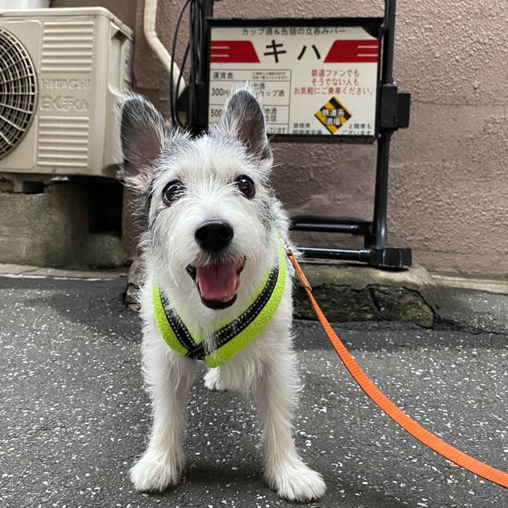 Df245d08 0910 44ce b356 3241cd5fd285 1599267275731