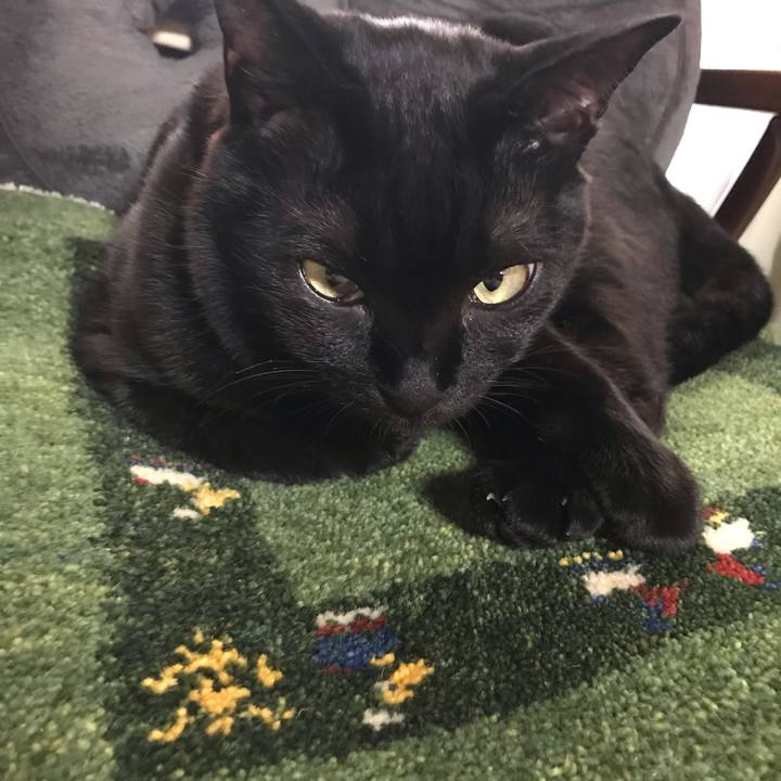 Df246cde 7f0c 44ed b435 5925afe5e620 1550392224287