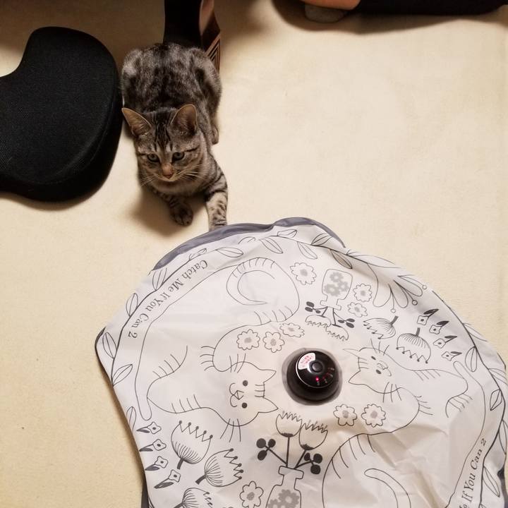 Df24753d cf96 4511 8d40 f33a24f6b5d0 1676594198637