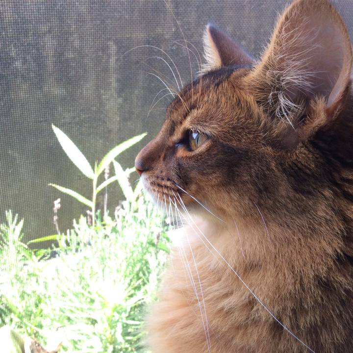 Df2481f0 6940 426f afad b930f4afb895 1593396731909