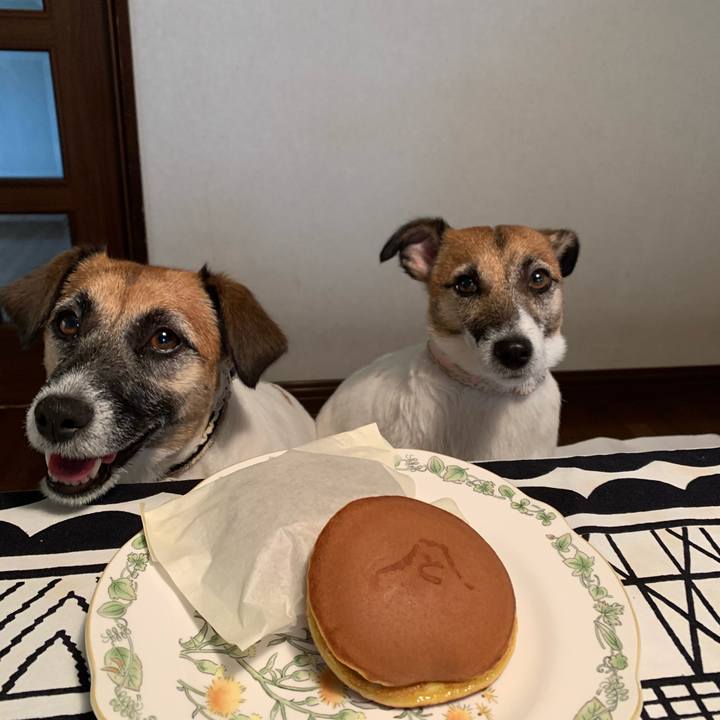 Df248fd4 bb6e 4541 97fe c573f2720ded 1596849323959