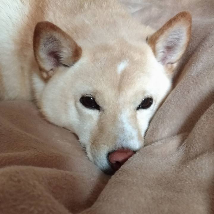 Df24a3b9 6947 47b0 89b5 c9002f64b3e4 1586604842073