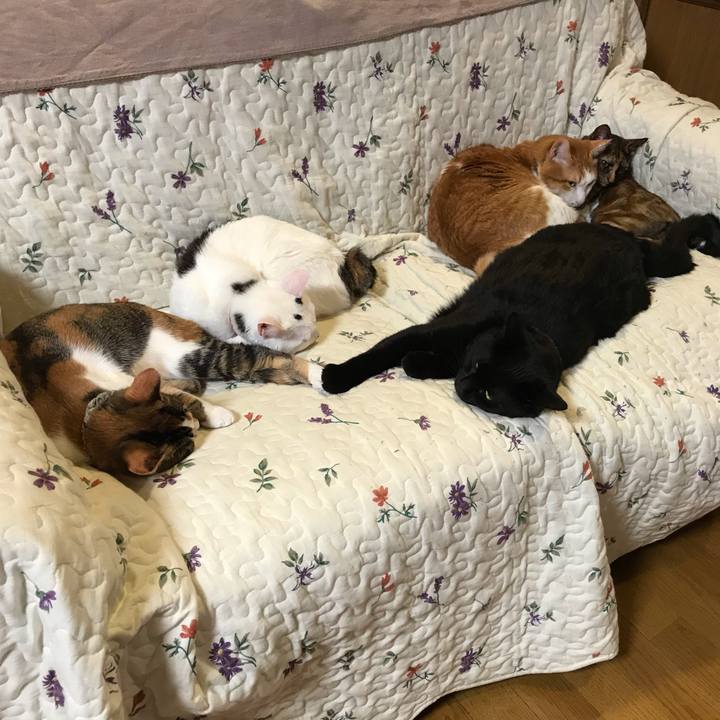 Df24cd84 d689 4c42 9b81 157a99d8e1bb 1608457397520