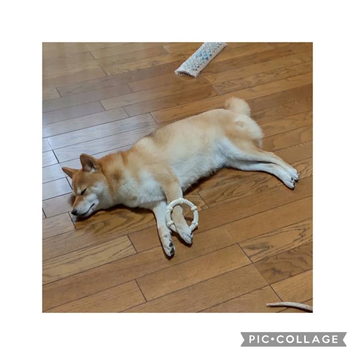 Df24e672 5259 49a9 a10b 35c1a7c7c555 1690363501736