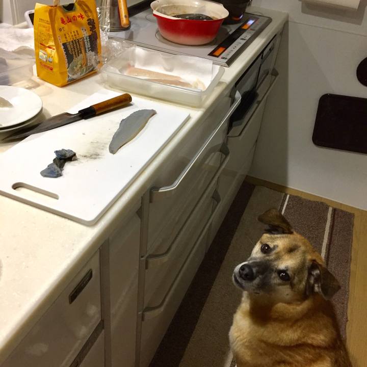 Df24f08c 175f 400c ae94 baa80727d2e4 1511515686608