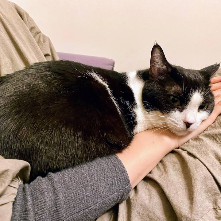 Df253060 3dab 4a57 8613 d1741fdaf527 1765099706337