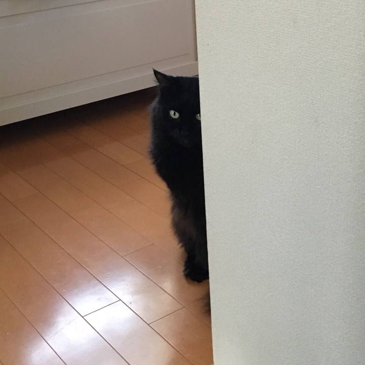 Df254636 b11e 4997 95b2 b33df016a7cf 1514704119478