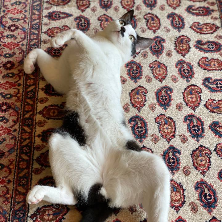 Df25a90f 72df 47c4 bea2 9811fabc651f 1590631560826