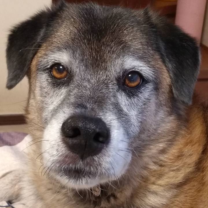 Df25a976 1cc0 428e 8c59 e59fdcf3e906 1568723782161