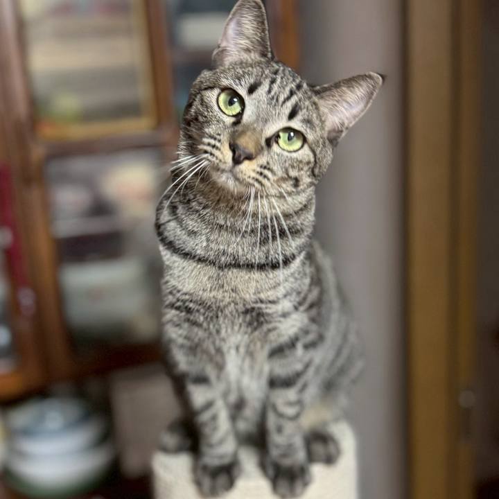 Df25ac68 0b30 459a 8269 a64571f7181f 1774042913101