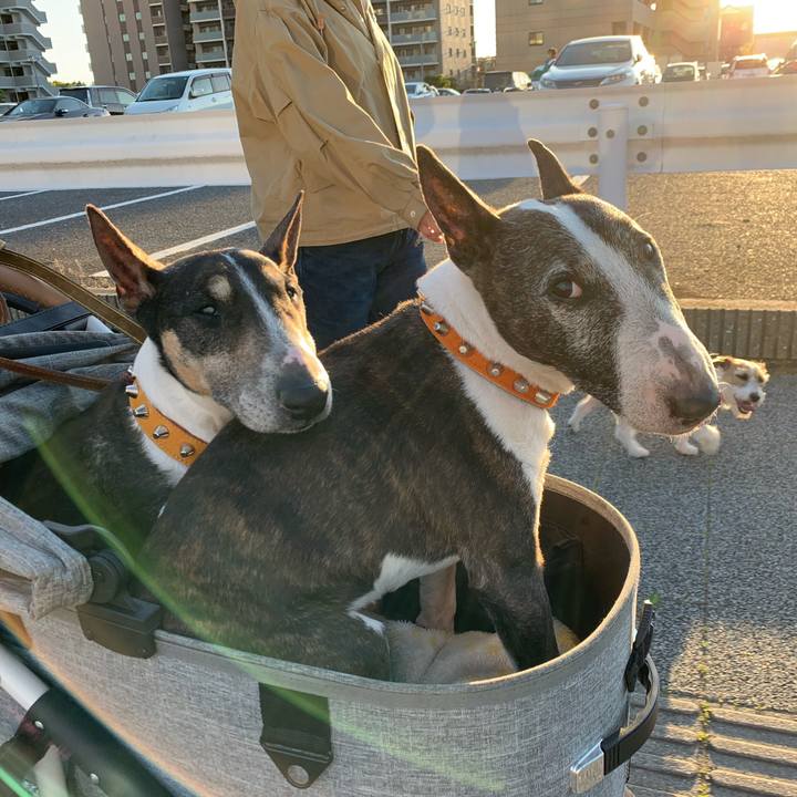 Df262919 1bac 4034 a88d a156bf562878 1619470830274