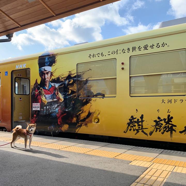 Df263c58 7ac0 435f 9c71 642f89b76831 1579086745899