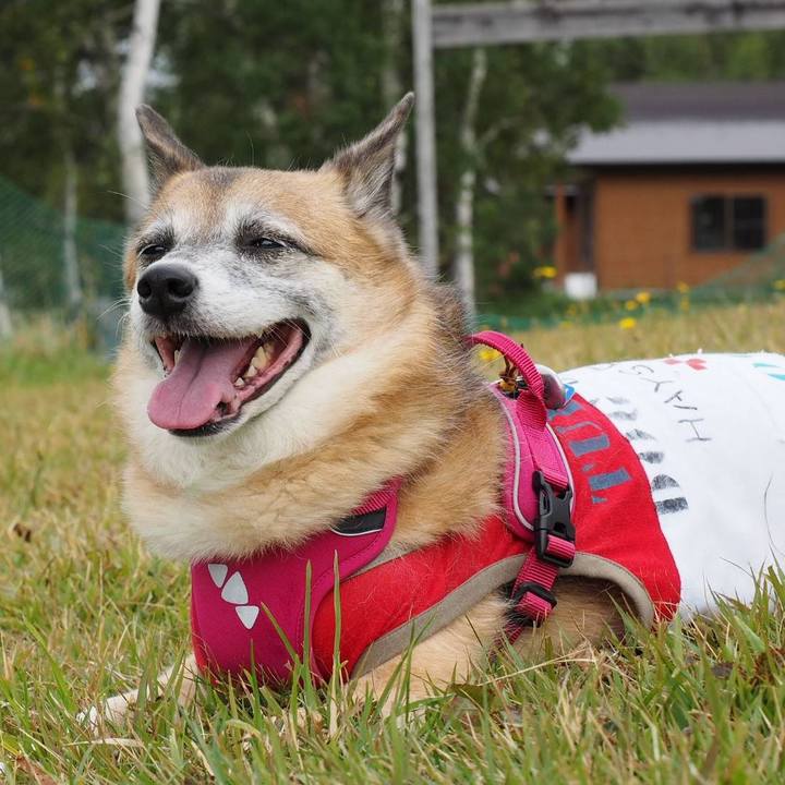 Df263e7a edc1 4b20 82f0 1d7272b184b5 1537265441664