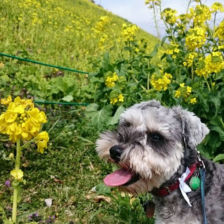 Df265521 c948 4a4d 8cd2 d5230e527d35 1541312735594