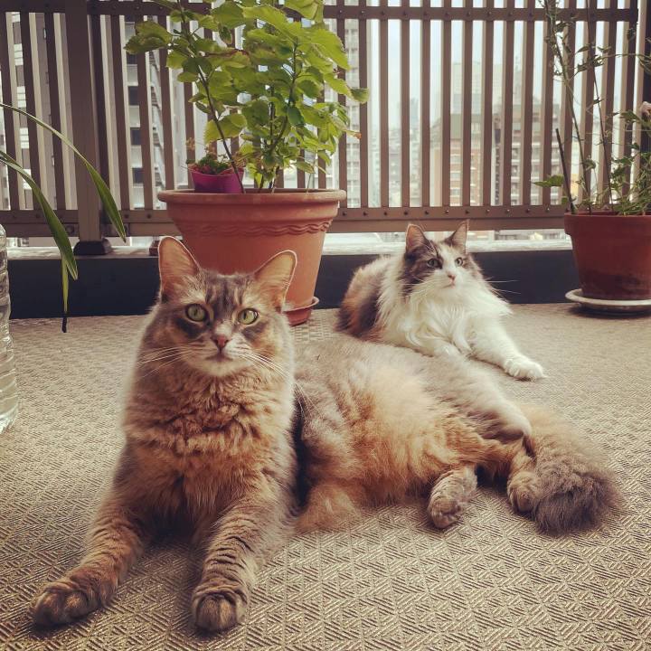 Df265673 072d 44c2 a115 105a38bdbfa9 1661432650549