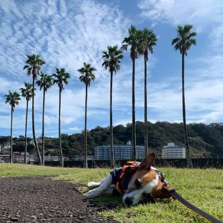 Df265ca5 590c 477d 984f fbbe59e4008a 1698324496615