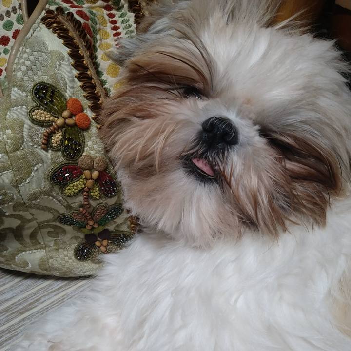 Df26b5eb 3864 4bc8 b2fc 2bb4fa1b434b 1607268561221