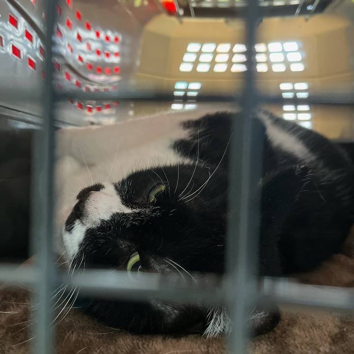 Df26bcaf 3a32 44e1 a491 a0004283226e 1712383844555