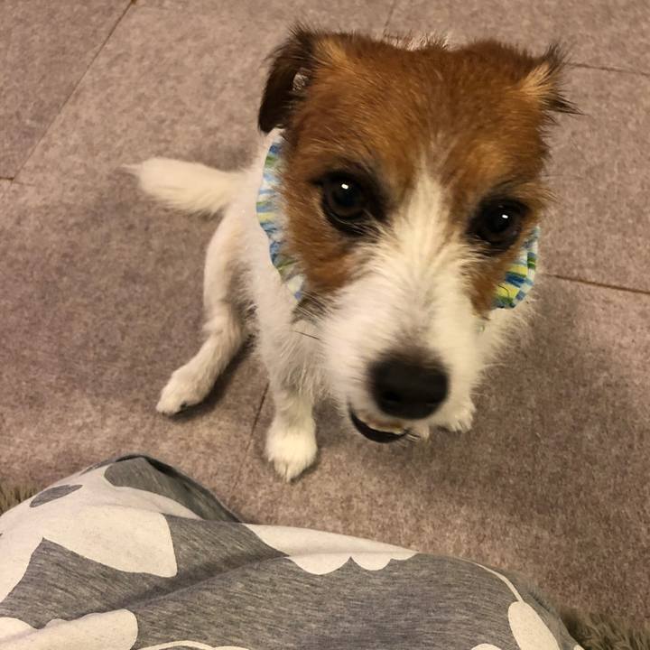 Df26c76a 69cf 41a9 9570 707c656be59a 1597062603390