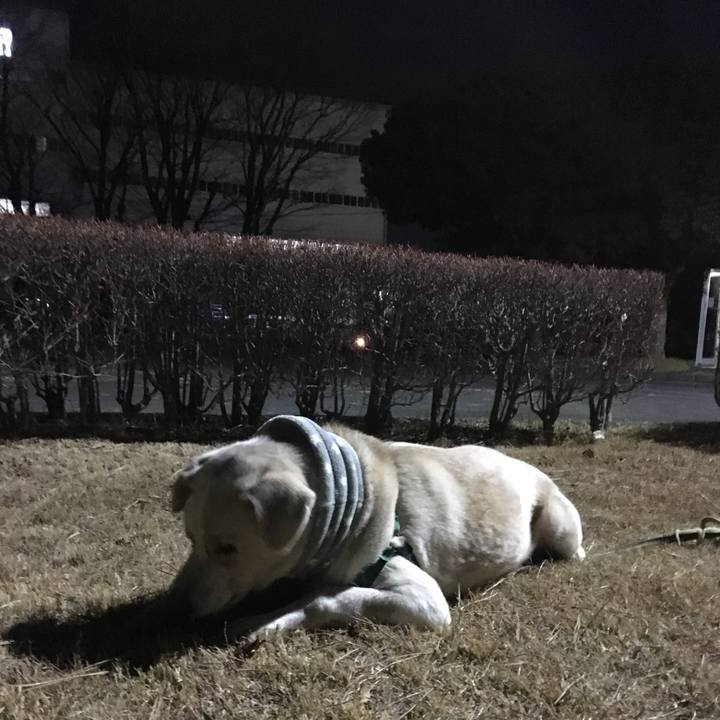 Df26d131 34e3 4394 be08 68870ee180f9 1515680142985