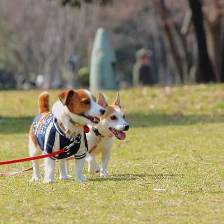 Df26fc9a bf80 46ce 9af6 260efaaa8d95 1521381555773