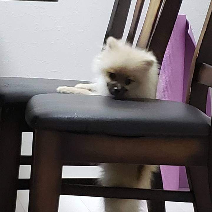 Df274bd4 a4a4 46ac 8b59 a782a72afc39 1616385866801