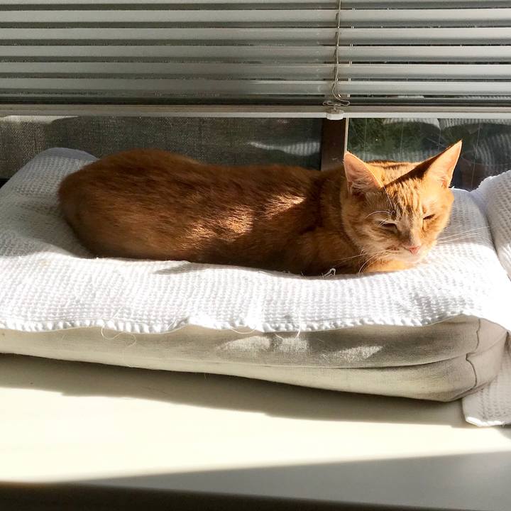 Df2760be bfd7 4ab8 aeda 6121c3db588f 1569461879753