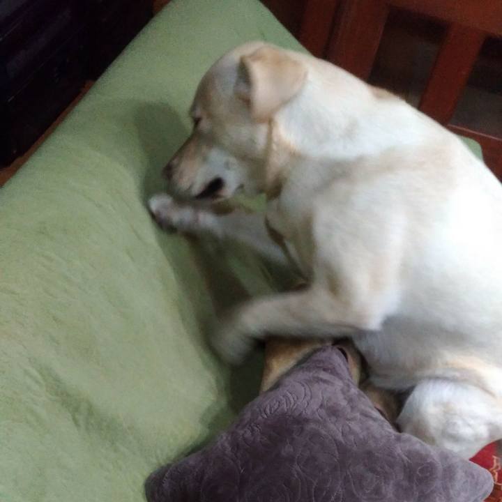 Df277280 a6cc 48b9 b7bf 6a63e724fb3a 1519039963972