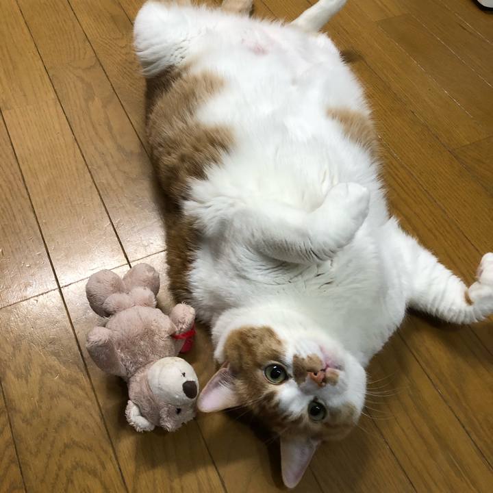 Df27bc34 9889 408b 96c9 c1476ac0006f 1517658313886