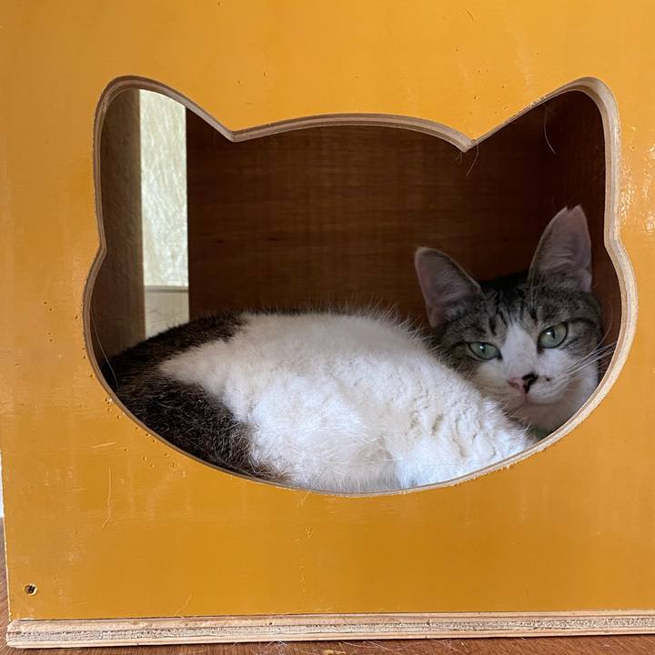 Df27c7d2 cef3 4cde 84aa 5a3888f233a4 1749963683695