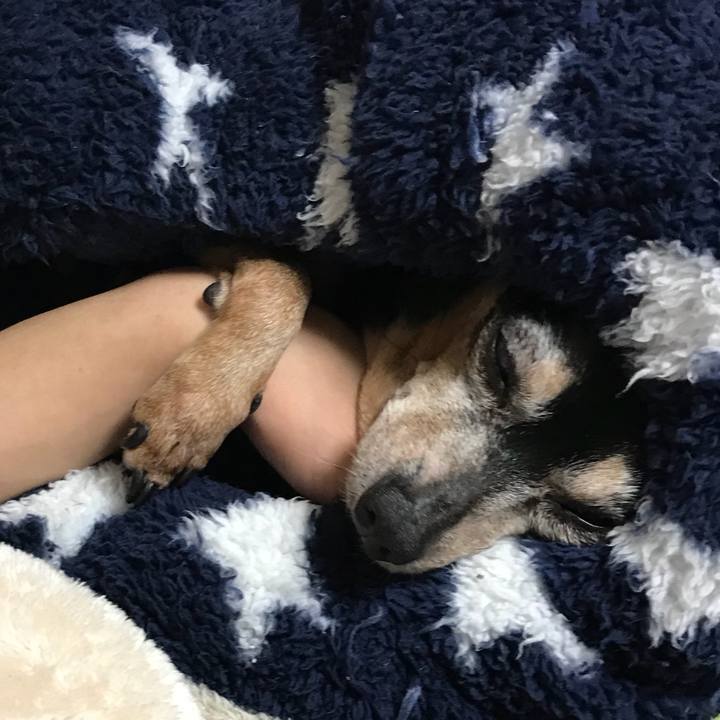 Df280f8c 2f38 4423 a589 c5bfdd8ae64c 1556628083103