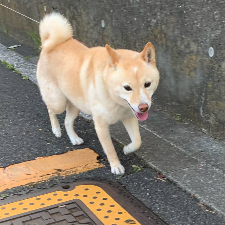 Df28683e 2137 445d 87f6 80318cfe28d9 1650673078340