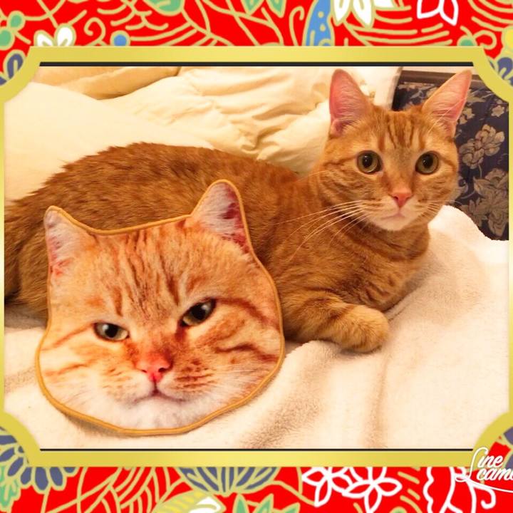 Df287af5 464e 4b31 8bef b50f4c5ce1c3 1547826944567